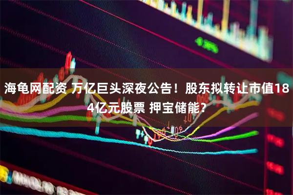海龟网配资 万亿巨头深夜公告！股东拟转让市值184亿元股票 押宝储能？