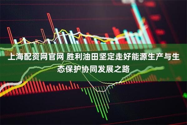 上海配资网官网 胜利油田坚定走好能源生产与生态保护协同发展之路